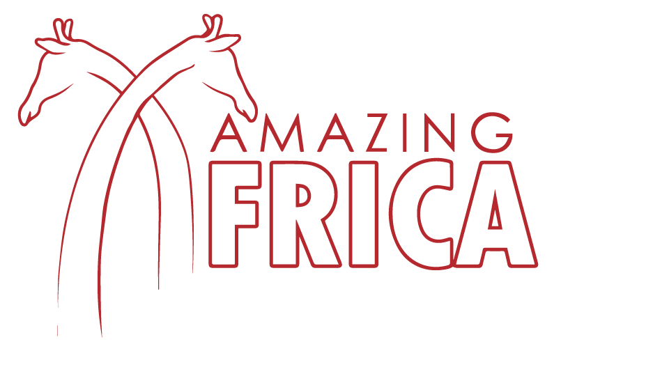 Amazing Africa