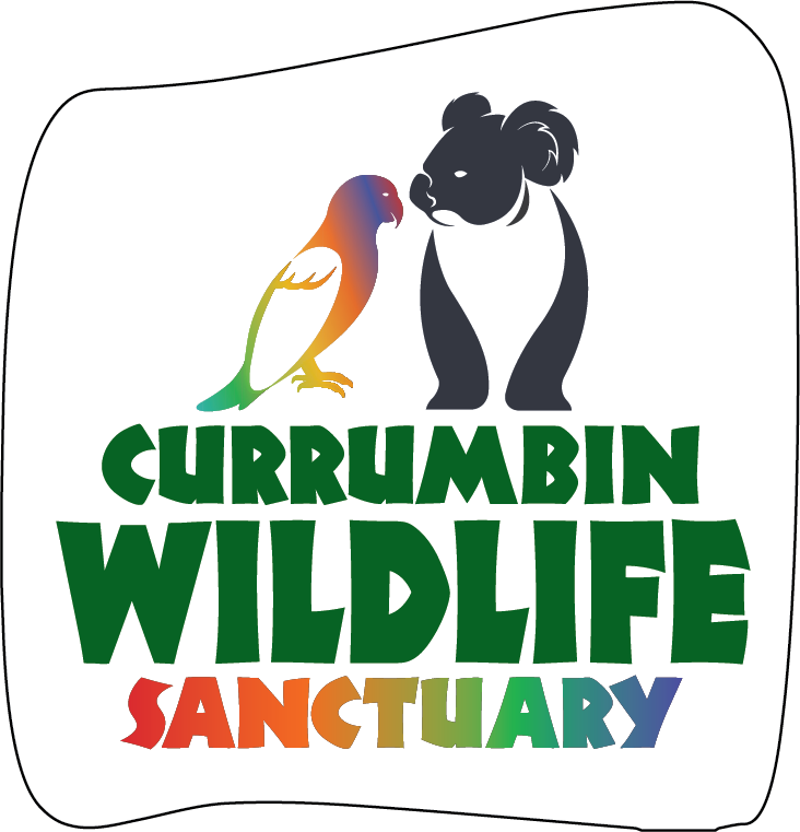 Currumbin Wildlife Sanctuary