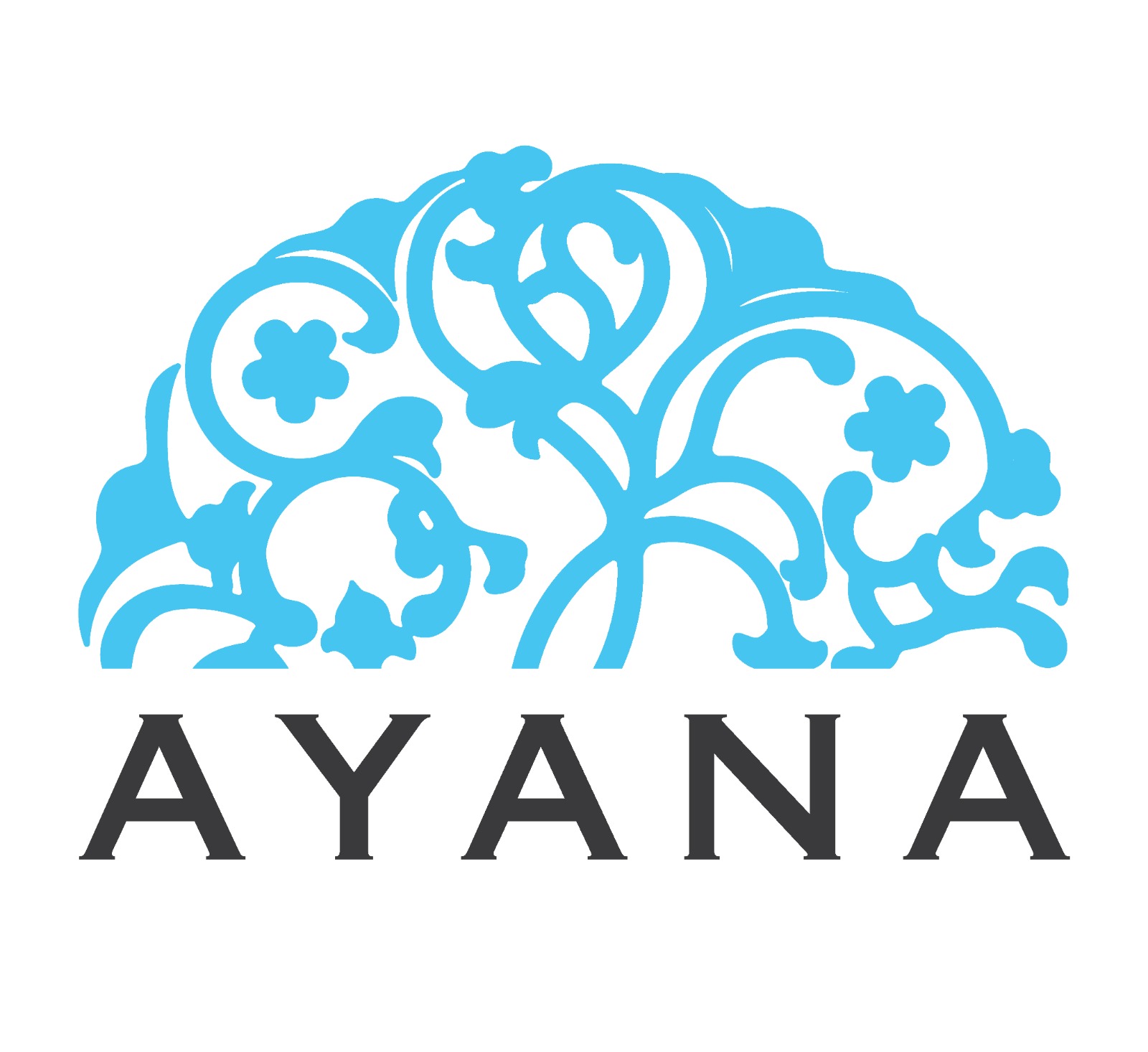 Ayana Bali and Ayana Komodo